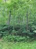00 Rising Sun Road 88 and 89 sold home in Mars Hill, SC