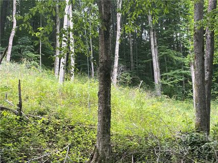 180 Goat House Way sold home in Buckeye Woodlands, Maggie Valley, NC