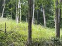 180 Goat House Way sold home in Maggie Valley, SC