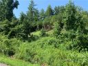 99999 New Stock Road sold home in Weaverville, SC