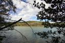 206 Pier Point Drive 59 sold home in Connelly Springs, SC