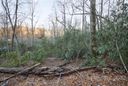 44 Acre Sparkling Lake Drive sold home in Hendersonville, SC