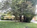 223 Balsam Road sold home in Hendersonville, SC