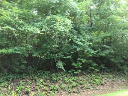 Lot 30 Green River Cove Road sold home in White Water Mountain, Saluda, NC