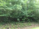 Lot 30 Green River Cove Road sold home in Saluda, SC