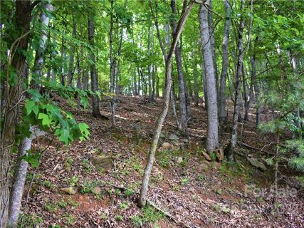 0000 Cedar Drive Lot 273