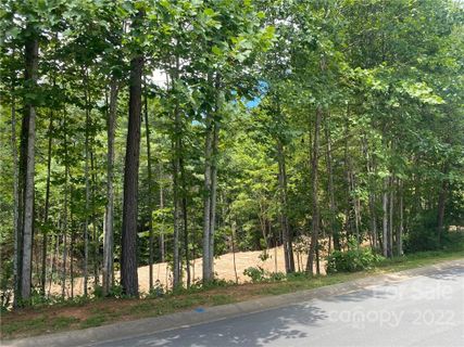 V L 61 Waterglyn Way sold home in Waterglyn, Nebo, NC