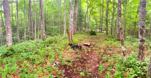 0 Leafy Knoll Circle 135 sold home in Laurel Falls, Glenville, NC