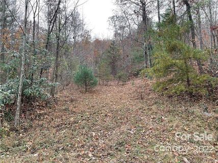 00 Basin Creek Drive sold home in Ridge Creek, Taylorsville, NC
