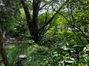 451 Onteora Boulevard sold home in Asheville, SC