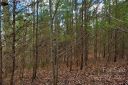 0 N Dakota Drive sold home in Rutherfordton, SC