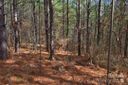 0 Bitterroot Circle sold home in Rutherfordton, SC