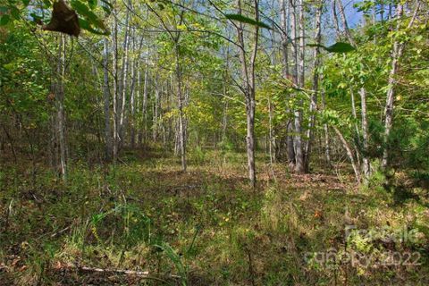 0 Chimney Creek Lane active home in Clearwater Creek, Rutherfordton, NC