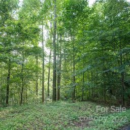 00 Ironwood Lane