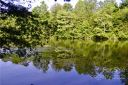 0 Shepherds Creek Circle sold home in Rutherfordton, SC