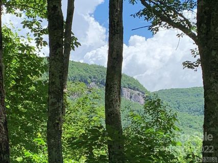 Lot 2 Panthertown Road