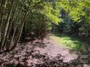 Lot 8 Pearidge Road sold home in Bostic, SC