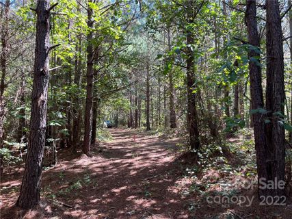 0 Pearidge Road 9 sold home in Pea Ridge, Bostic, NC