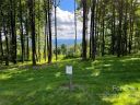 0000 East Garden Trail Lot 10 sold home in Hendersonville, SC