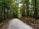 9999 Mocassin Trail sold home in Rosman, SC