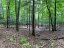 Tbd Aberdeen Lane 667 and 668 sold home in Pisgah Forest, SC