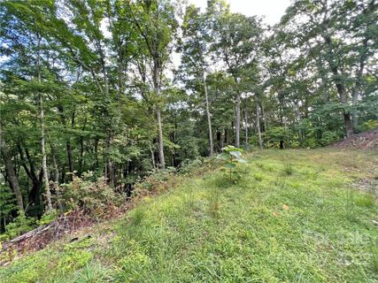 Tbd Staghorn Drive 33 sold home in Deerfield Meadows, Hot Springs, NC