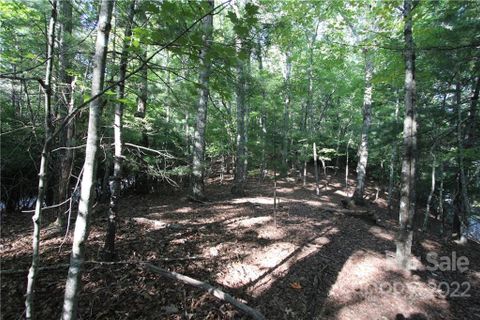 Tract 32b Kentwood Lane Tract 32B sold home in Blue Ridge Overlook, Pisgah Forest, NC