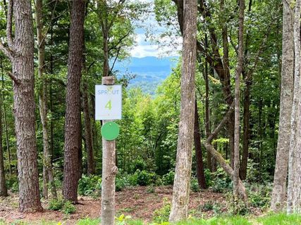 0000 New Sprout Lane Lot 4