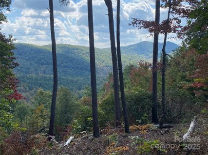 61 Scenic Vista Drive active home in Grandview Peaks, Nebo, NC