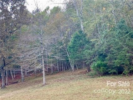 5 04 Acres Lot 501a Red Cedar Way 501A