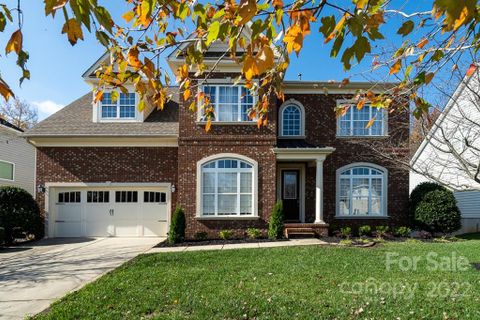 3046 Denali Way