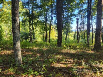 Lot 188 Dancing Bear Drive