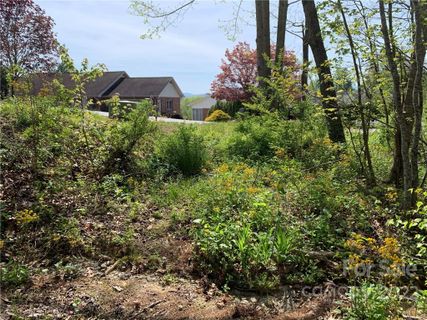 0000 Mountain Valley Drive 62 sold home in Mountain Valley, Hendersonville, NC
