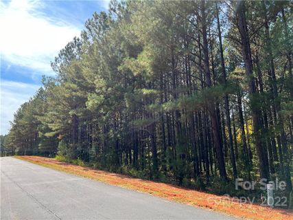 120 Whispering Pines Lane 57