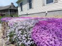 94 Hidden Meadow Drive sold home in Hendersonville, SC