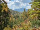 109 Mountain Brook Trail 297 sold home in Nebo, SC