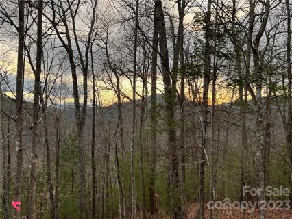 Lot 107 Laurel Ridge