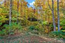 Tbd Mountain Grove Lane 40 sold home in Fletcher, SC