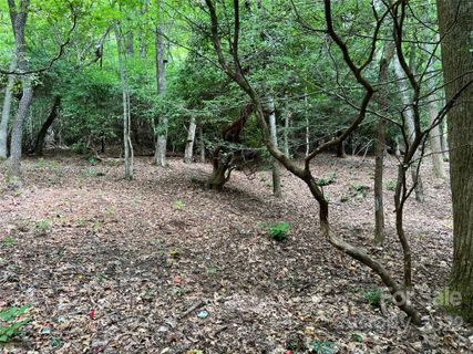 0000 New Sprout Lane Lot 5
