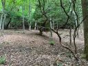 0000 New Sprout Lane Lot 5 sold home in Hendersonville, SC