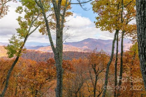 115 Stoney Falls Loop D/4