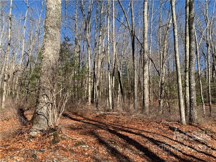 8 Lot Pkg Galax Lane sold home in Sequoyah Woods, Brevard, NC