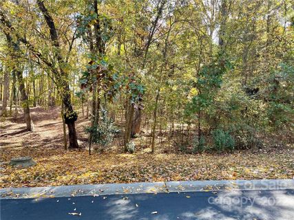 1675 Old Tara Lane sold home in Tara Plantation, Fort Mill, SC