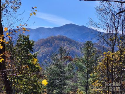 0 Alpine Ridge active home in Springdale Estates, Canton, NC