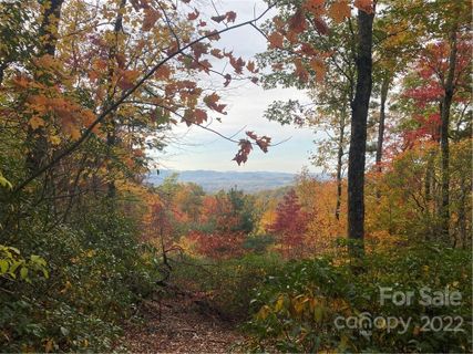 376 Camptown Rd Camp Carolina Road