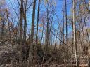 275 Shannons Walk sold home in Lake Lure, SC
