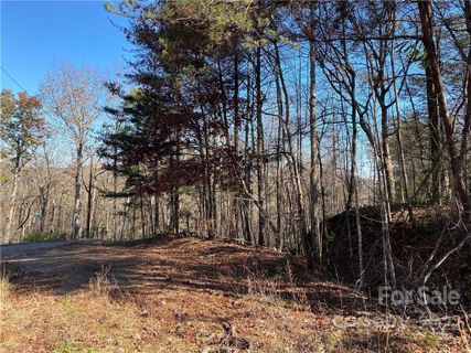 1090 Buffalo Shoals Road 179