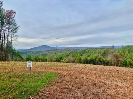 3 61 Acres Lot 752 Painted Ridge Trail
