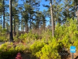 89 Scenic Lane