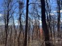 00 Hemlock Trail 63 sold home in Columbus, SC